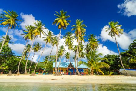 martinique Newdream voyages